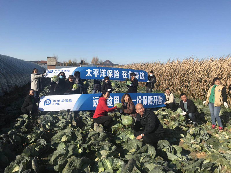 图片38_副本.png