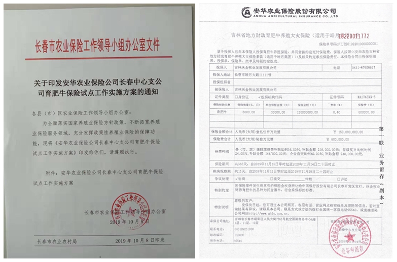 光影魔术手拼图.jpg