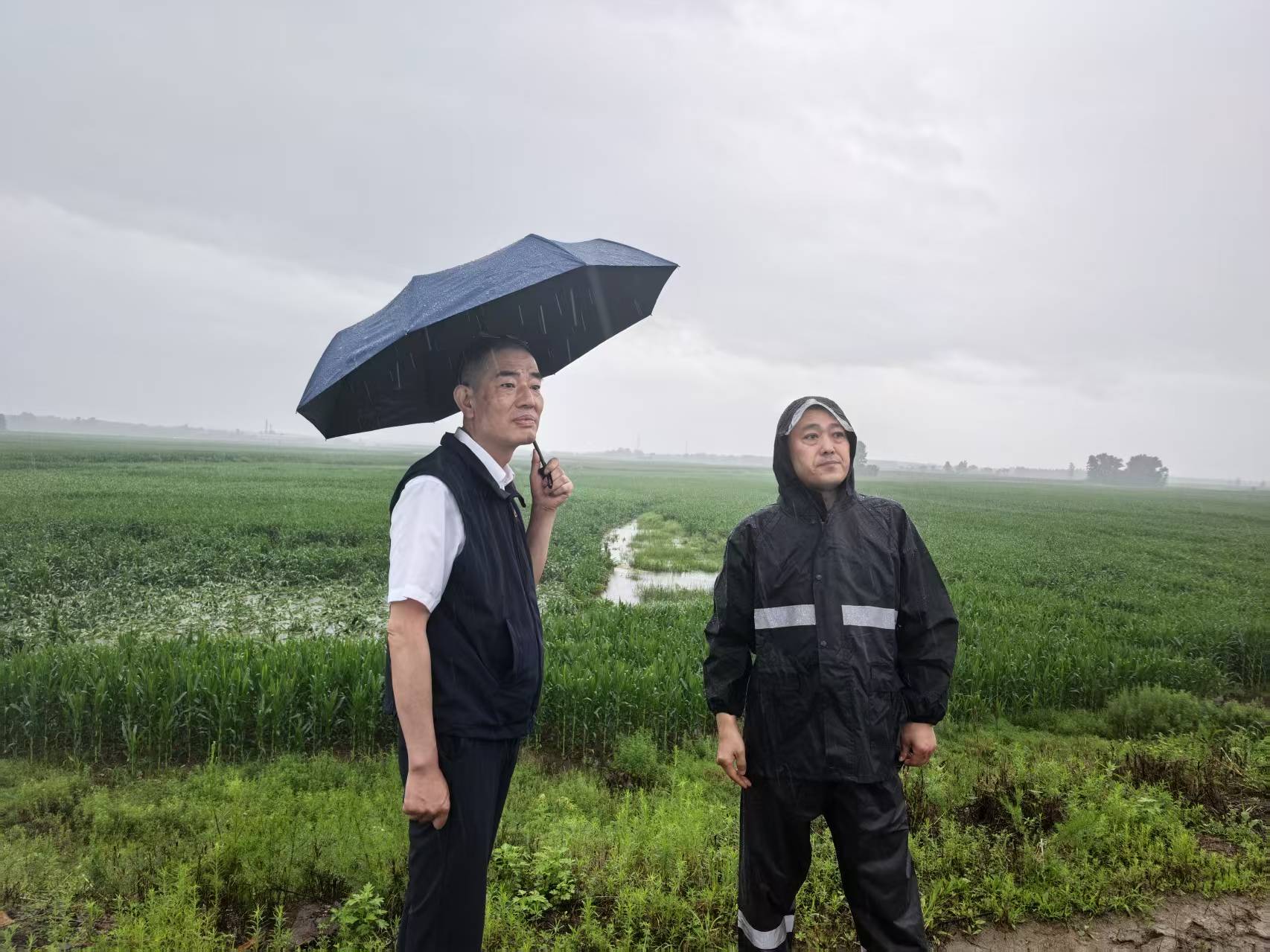 20260716+闻“风”而动勇担当 向险而行护民生——中国太保产险吉林省分公司硬核筑牢台风防汛安全屏障2.jpg